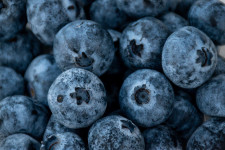 Storing Blueberries for Later Use