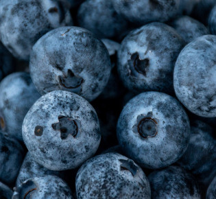 Storing Blueberries for Later Use