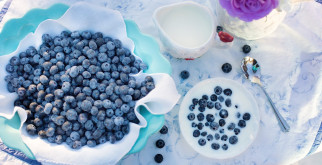 Blueberry Lemon Bars