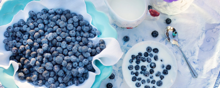 How to Tell When Blueberries are Ready for Harvest