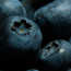 Blueberry Harvesting as a Hobby