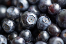 Blueberry Varieties for Tarts