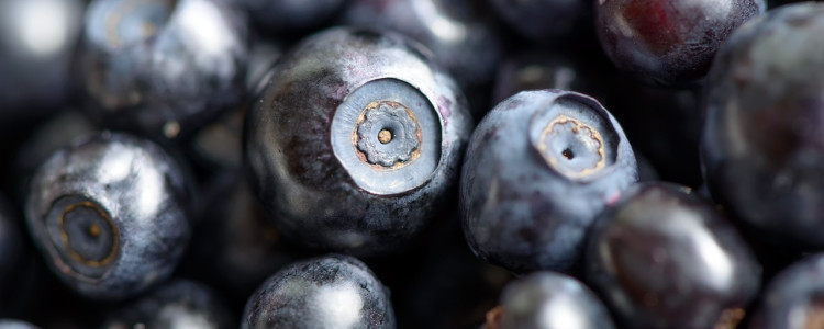 The Blueberry and American Identity
