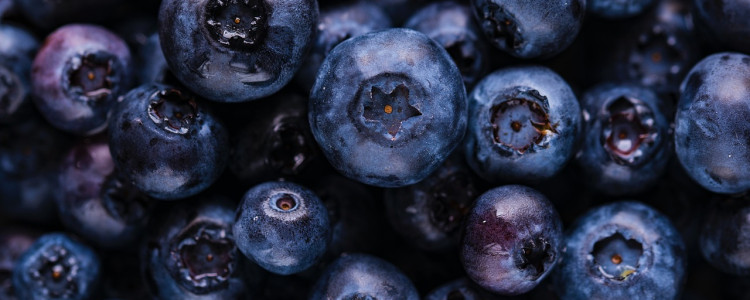 Blueberry Varieties for Ice Cream