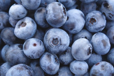 Blueberry Varieties and Their History