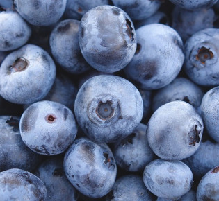Blueberry Varieties and Their History