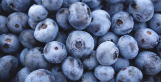 Tips for Harvesting Blueberries by Machine