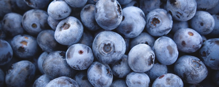 Blueberry Varieties for Pies