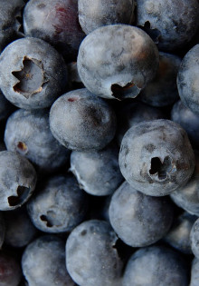 Power Up Your Brain with Blueberries