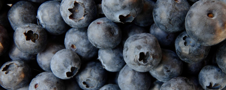 Power Up Your Brain with Blueberries