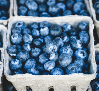 How to Properly Harvest Blueberries for the First Time