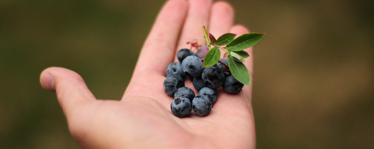 Blueberry Vinaigrette