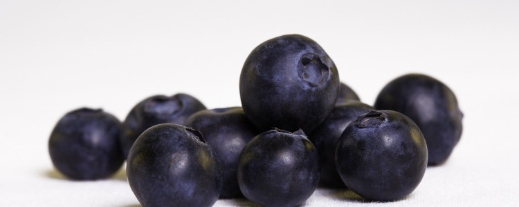 Choosing the Right Site for Blueberries
