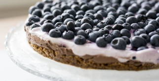 Fun Facts About Blueberry Festivals Around the World