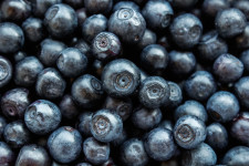 How to Renew Old Blueberry Plants
