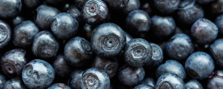 Cold-Hardy Blueberry Varieties