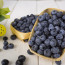 Creating Super Blueberries: The Benefits and Risks of Genetic Modification