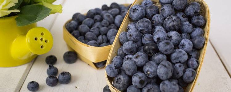Blueberry Varieties for Muffins