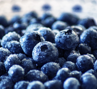 Exploring the Health Benefits of Blueberries in Traditional Medicine