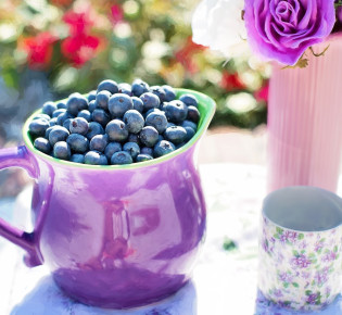 Blueberry and Digestion: How Blueberries Can Improve Your Gut Health