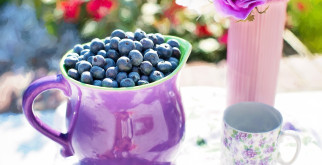 Simple Hacks to Make Blueberry Harvesting Easier