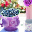 The Blueberry Smoothie Craze: From Health Trend to Delicious Beverage