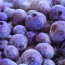 Blueberry Streusel