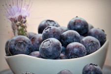 Blueberry Varieties for Brownies