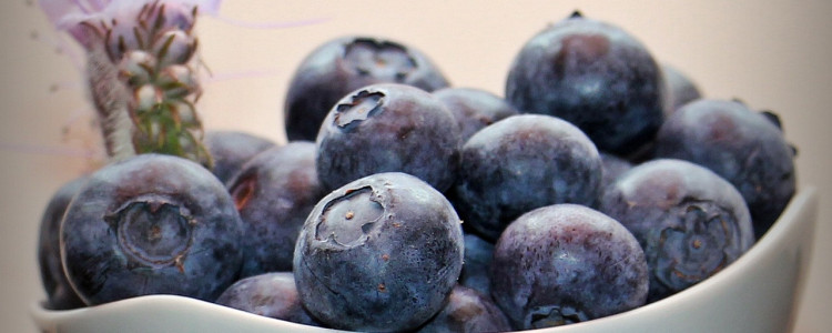 The Economic Importance of Blueberries